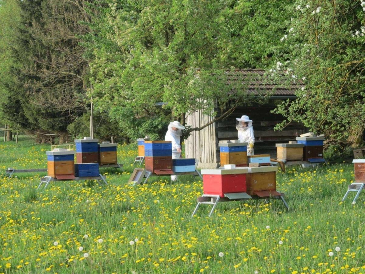 Das Kleine Paradies Purgen 외부 사진